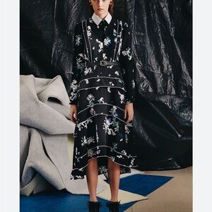 Prowbzo schouler dress